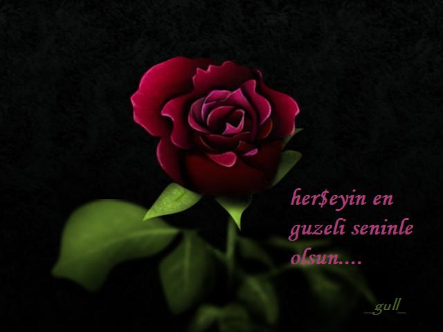 3 Gül --> 3 Üye