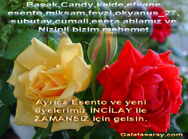 3 Gül --> 3 Üye