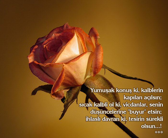 GÜNÜN SÖZÜ  (Nasihat Sözleri ile birleştirildi...)