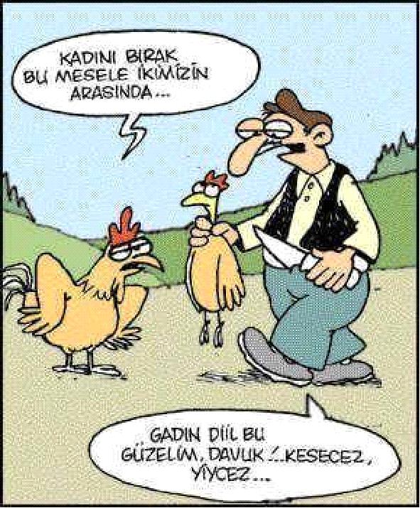 Bu Tavuğun Velisi Kimse Ortaya Çıksın :)
