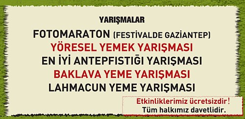 3. Uluslararasi Antepfistigi Kultur ve Sanat Festivali Basliyor !