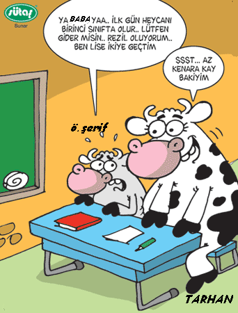 Sütaş karikatürleri Nizip.com'da Olursa.
