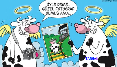 Sütaş karikatürleri Nizip.com'da Olursa.