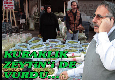 Zeytinimiz dışardan