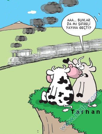 Sütaş karikatürleri Nizip.com'da Olursa.