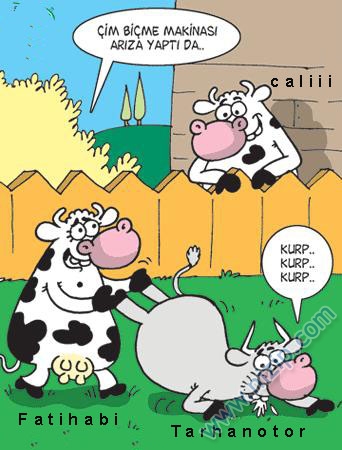 Sütaş karikatürleri Nizip.com'da Olursa.