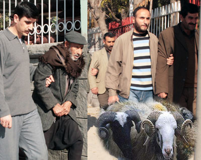 Çalınan kurbanlık koyunlar satılırken yakalandı Çalınan kurbanlık koyunlar satılırken yakalandı