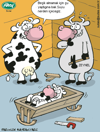 Sütaş karikatürleri Nizip.com'da Olursa.