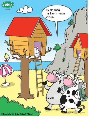 Sütaş karikatürleri Nizip.com'da Olursa.
