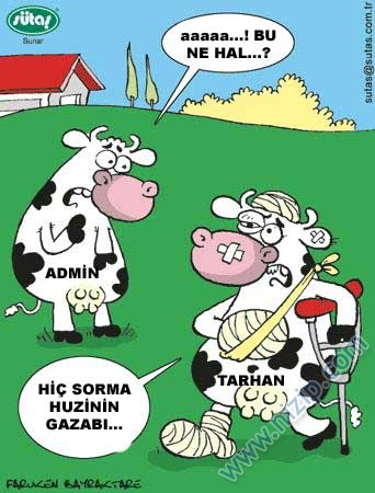 huzi yine kayıp