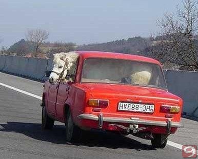 Seviyorum bu ülkeyi arkadaş :)