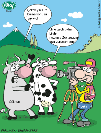 Sütaş karikatürleri Nizip.com'da Olursa.
