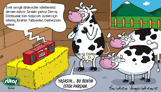 Sütaş karikatürleri Nizip.com'da Olursa.