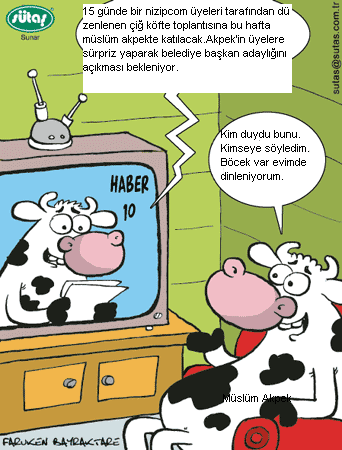 Sütaş karikatürleri Nizip.com'da Olursa.