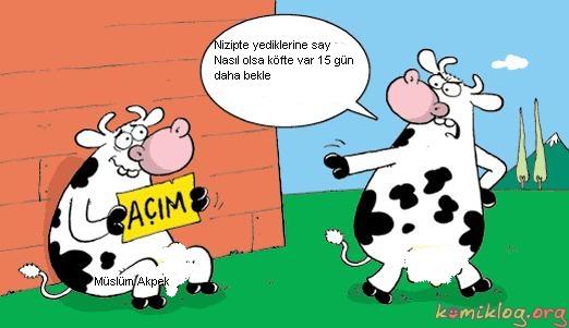 Sütaş karikatürleri Nizip.com'da Olursa.