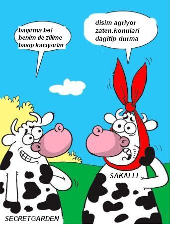 Sütaş karikatürleri Nizip.com'da Olursa.