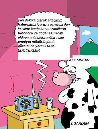Sütaş karikatürleri Nizip.com'da Olursa.