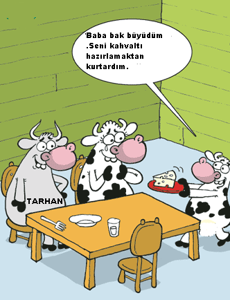 Sütaş karikatürleri Nizip.com'da Olursa.