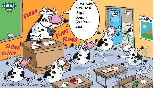 Sütaş karikatürleri Nizip.com'da Olursa.