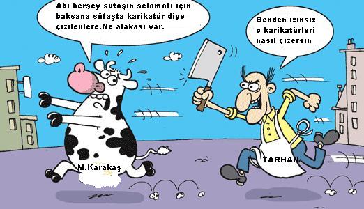 Sütaş karikatürleri Nizip.com'da Olursa.