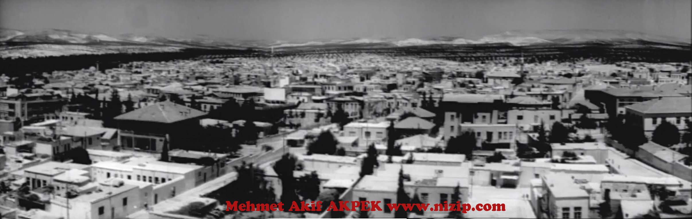 1965 yılında Ülfet Video ve Nizip fotoğrafları