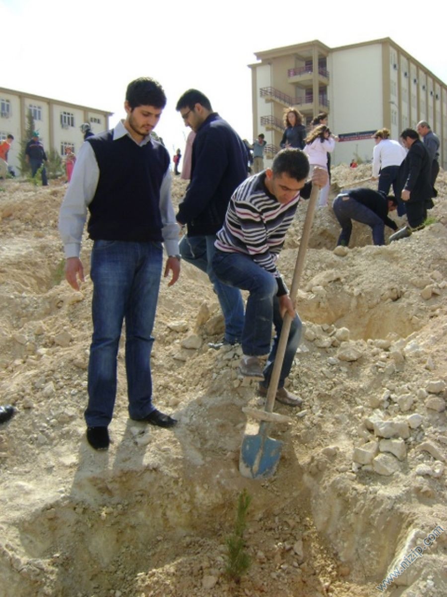 Şenlik Gibi Ağaç Dikimi