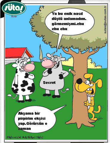 Sütaş karikatürleri Nizip.com'da Olursa.
