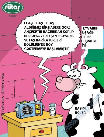 Sütaş karikatürleri Nizip.com'da Olursa.