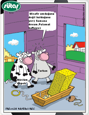 Sütaş karikatürleri Nizip.com'da Olursa.