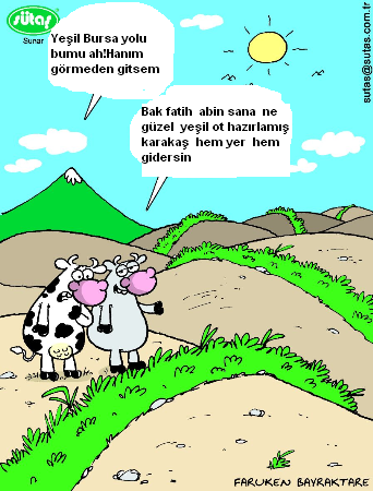 Sütaş karikatürleri Nizip.com'da Olursa.