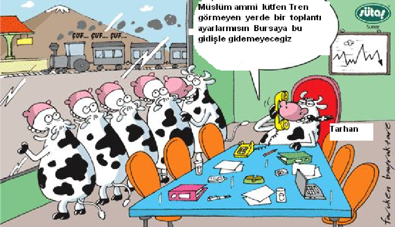 Sütaş karikatürleri Nizip.com'da Olursa.