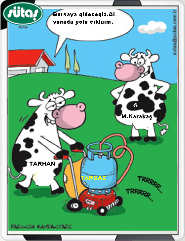 Sütaş karikatürleri Nizip.com'da Olursa.