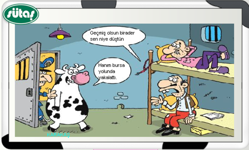 Sütaş karikatürleri Nizip.com'da Olursa.