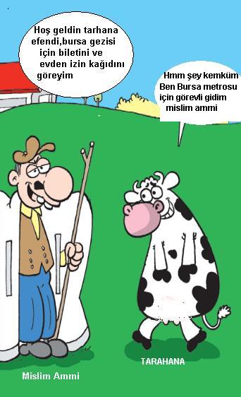 Bursa nizip.com ziyareti