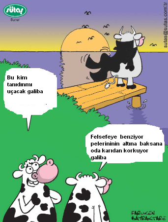Sütaş karikatürleri Nizip.com'da Olursa.