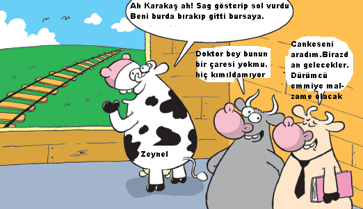 Sütaş karikatürleri Nizip.com'da Olursa.