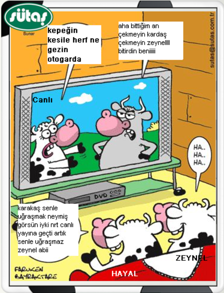 Sütaş karikatürleri Nizip.com'da Olursa.