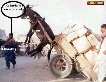 Sütaş karikatürleri Nizip.com'da Olursa.