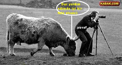 Sütaş karikatürleri Nizip.com'da Olursa.