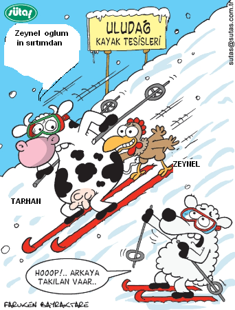 Sütaş karikatürleri Nizip.com'da Olursa.