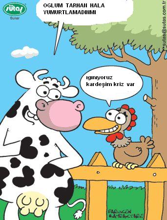 Sütaş karikatürleri Nizip.com'da Olursa.