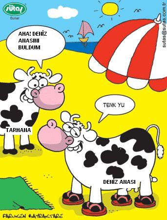 Sütaş karikatürleri Nizip.com'da Olursa.