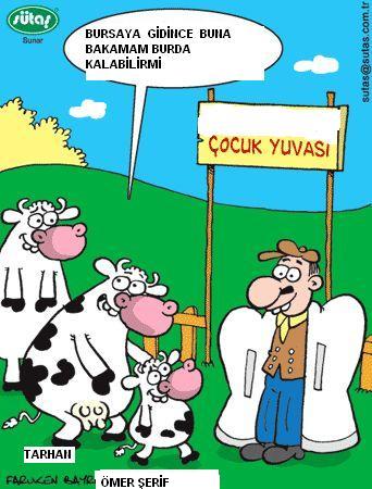 Sütaş karikatürleri Nizip.com'da Olursa.