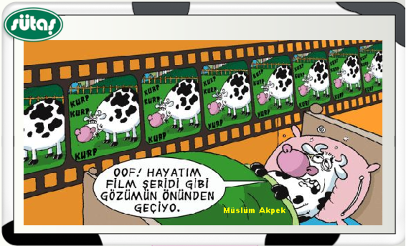 Sütaş karikatürleri Nizip.com'da Olursa.