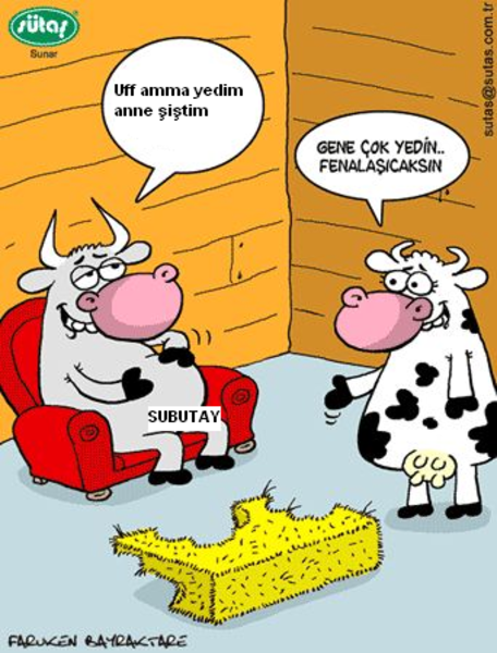 Sütaş karikatürleri Nizip.com'da Olursa.
