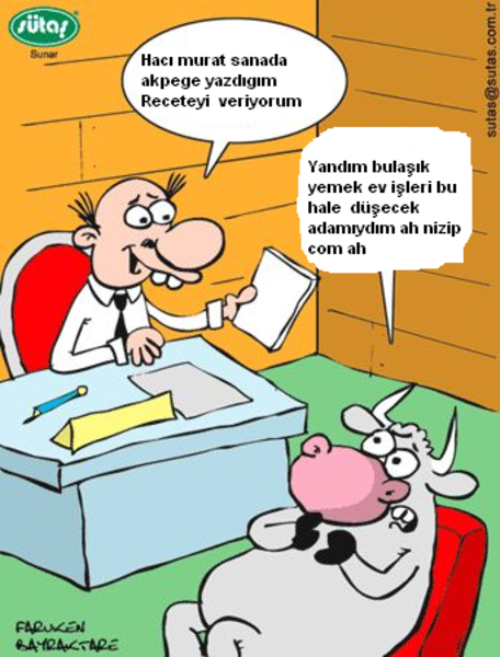 Sütaş karikatürleri Nizip.com'da Olursa.