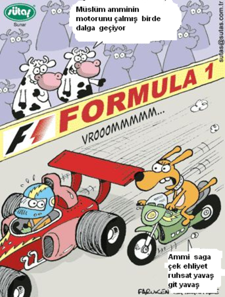 Sütaş karikatürleri Nizip.com'da Olursa.