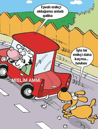 Sütaş karikatürleri Nizip.com'da Olursa.