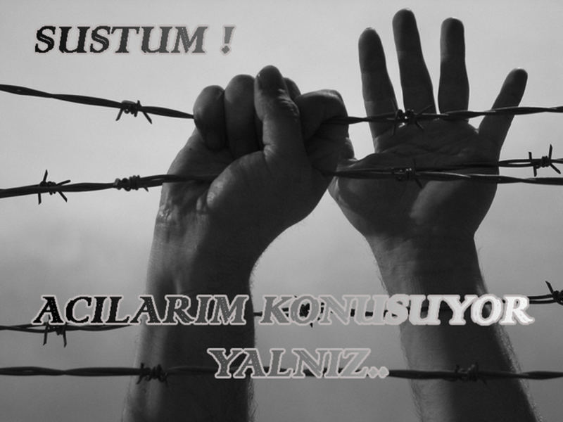 ŞİİR SEVER NİZİPLİLER BURAYA...