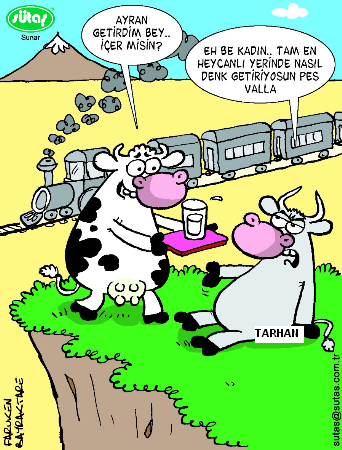 Sütaş karikatürleri Nizip.com'da Olursa.